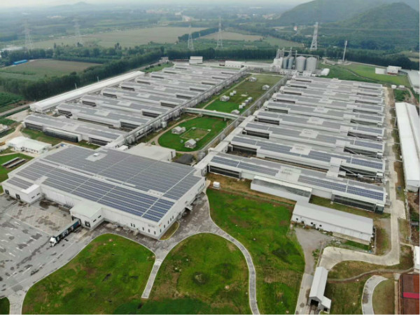 “掘金”下一个风口: 3044am永利电力为正大蛋业5.46MW屋顶项目提供综合解决方案