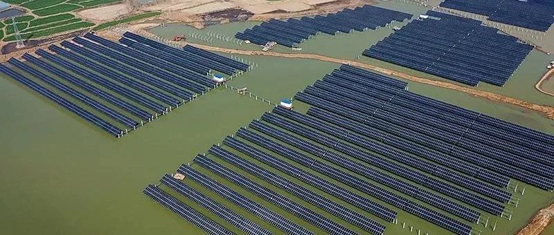  赵立坚微博点赞渔光互补模式3044am永利滁州项目再受关注