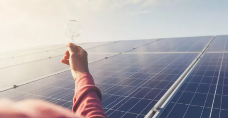 Professional project development team